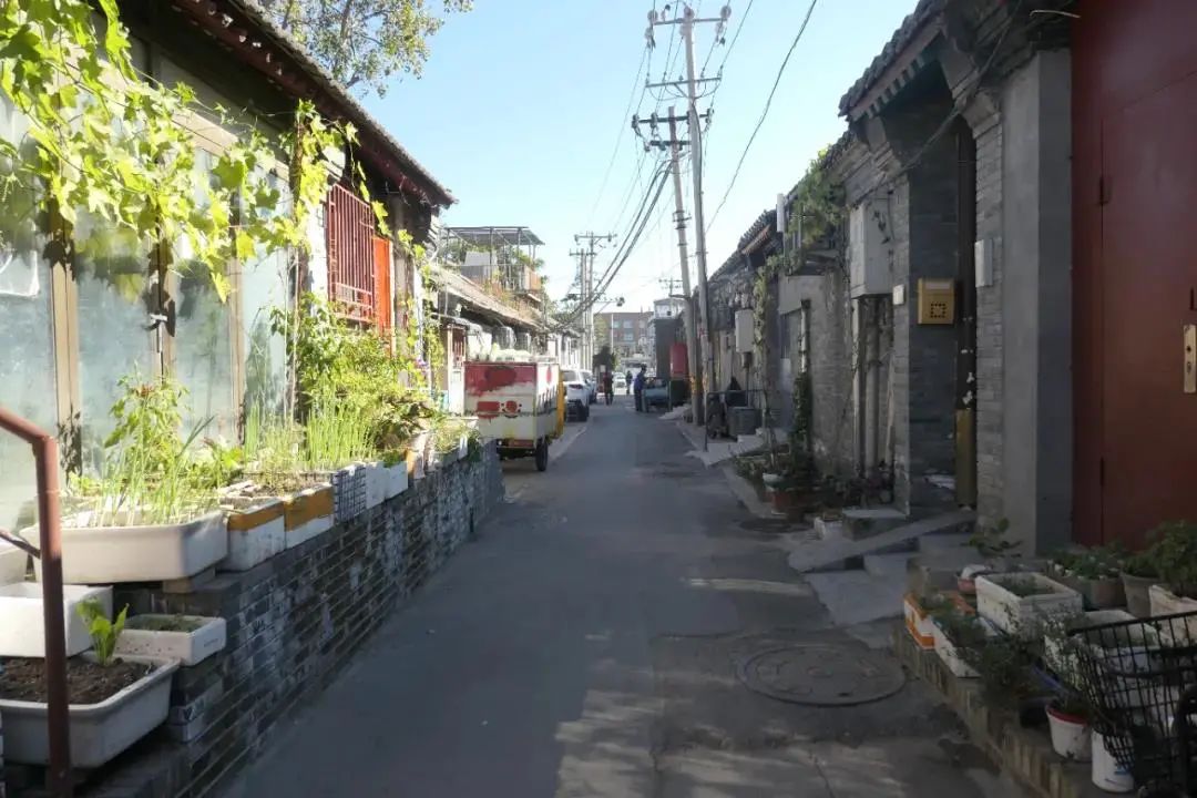 2021十大“北京最美街巷”揭晓!名单拿好,去打卡! 2021十大“北京最美街巷”揭晓!名单拿好,去打卡!