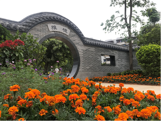 小圩镇大魅力:云浮美丽圩镇建设之路 小圩镇大魅力:云浮美丽圩镇建设之路