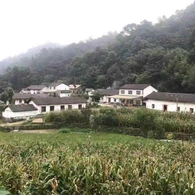 【全国农房图鉴】湖北农房图鉴