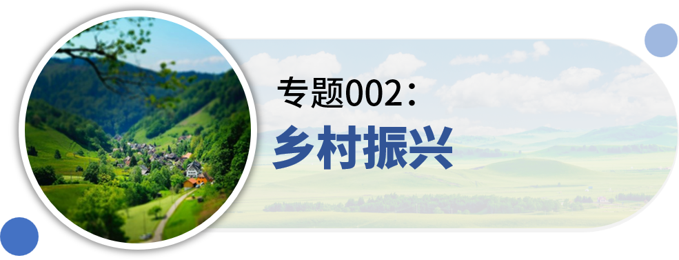 一些关于“村庄规划”的专题推荐