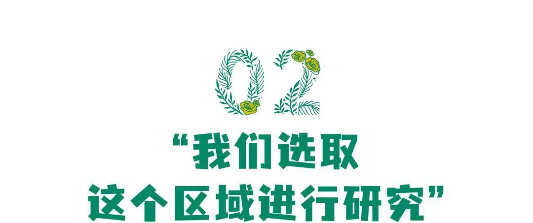 “低碳”理念下,城市更新设计或许可以这样做 “低碳”理念下,城市更新设计或许可以这样做