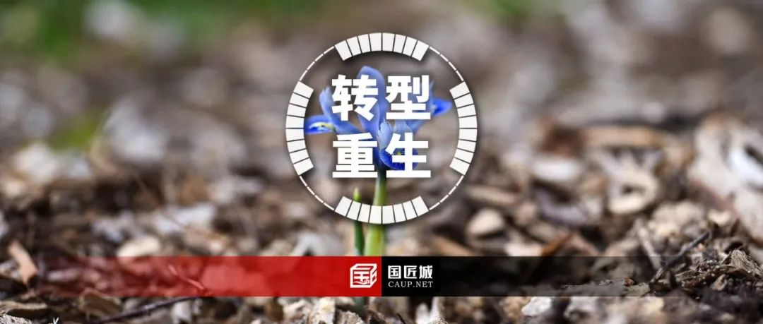 所有产业涅槃重生的过程，历经磨难也许会复活，侥幸苟活基本就是必死
