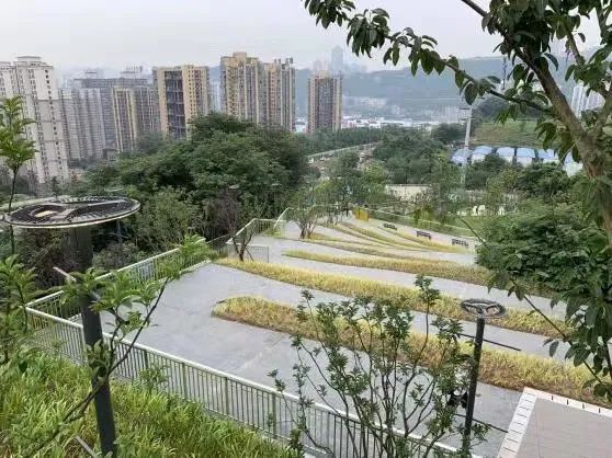 中规智库 | 营造全龄友好、多元融合的社区绿色开放空间——团体标准《社区“十五分钟生活圈”绿色开放空间规划设计指南》编制