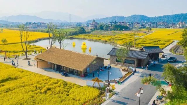 改“小田”变“大田” 从“满天星”到“百千万”！杭州的“大地魔术”正在“上演”