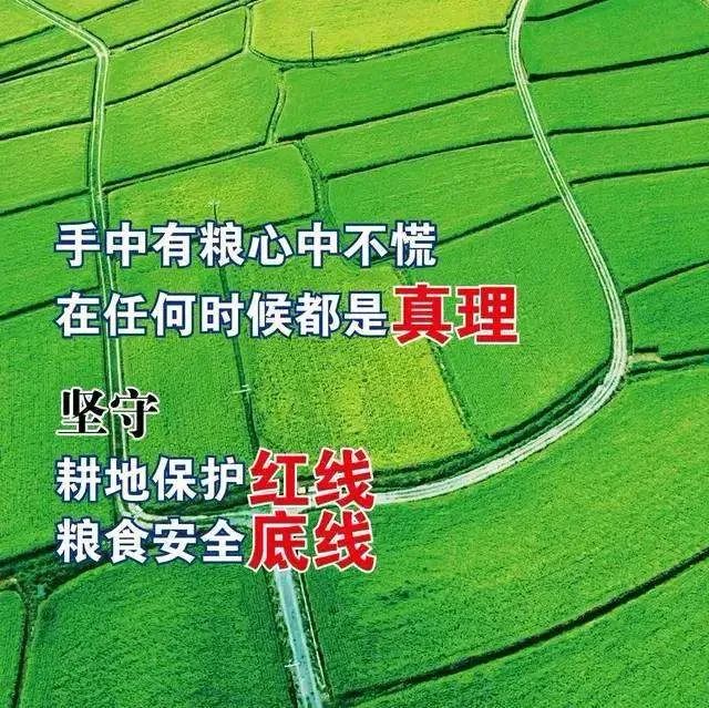 郧文聚:积极审慎组织实施第三次全国土壤普查 郧文聚:积极审慎组织实施第三次全国土壤普查