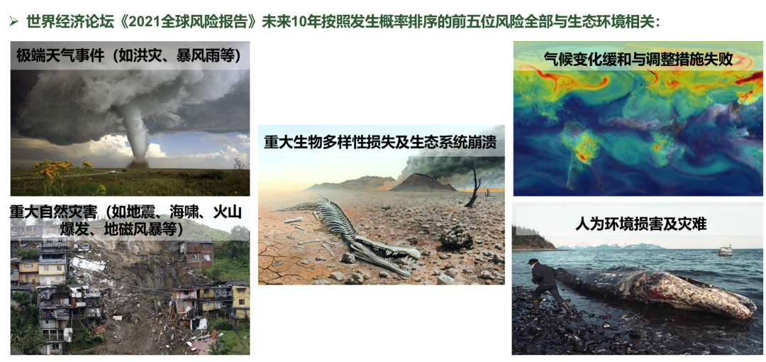 生态保护与修复：国土空间生态保护修复新形势及治理转变