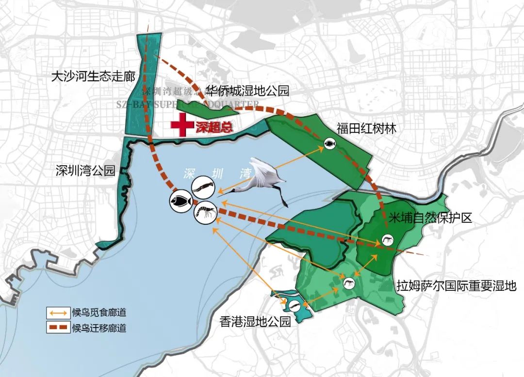 深圳湾超级总部基地最新进展：夜景灯光、城市意象、无障碍设计公布