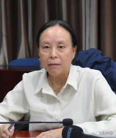 2019-2020建筑设计奖“历史文化保护传承创新专项”获奖项目学术研讨会成功举办 2019-2020建筑设计奖“历史文化保护传承创新专项”获奖项目学术研讨会成功举办