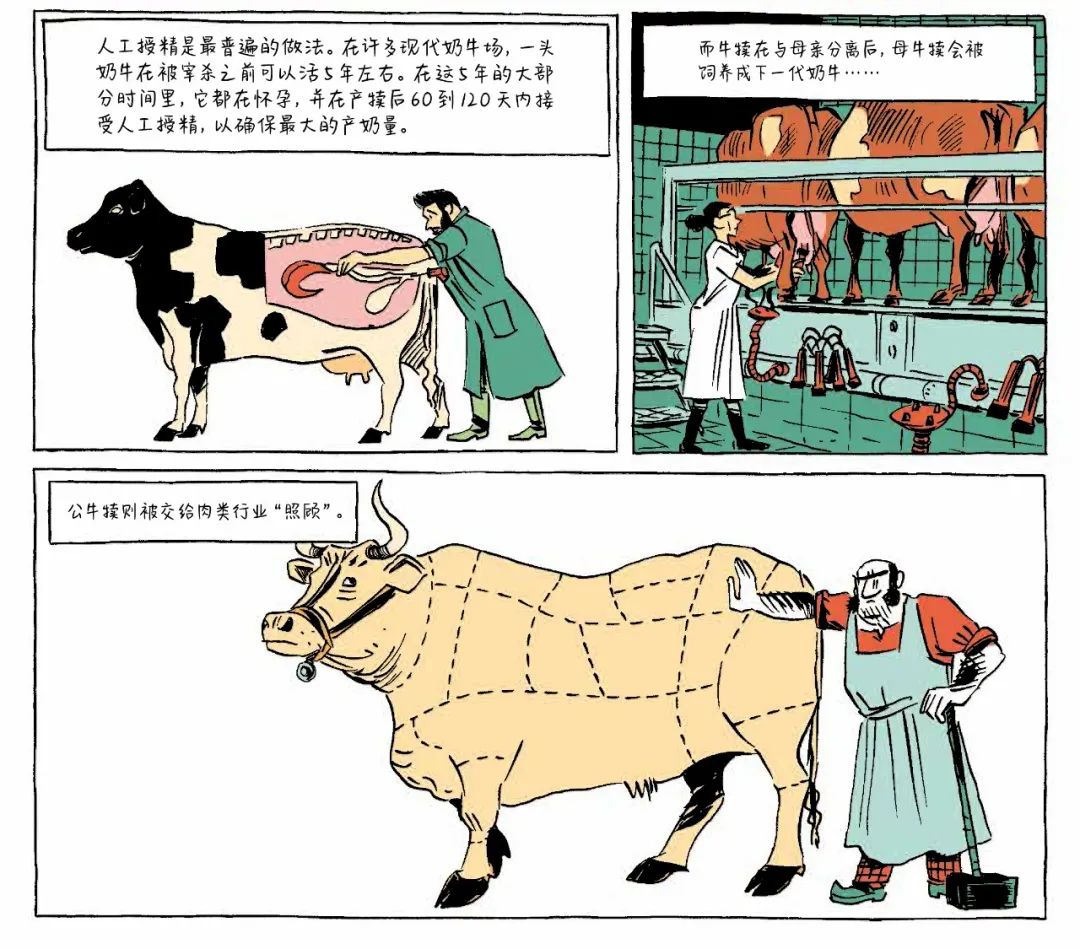 豆瓣9.4，现象级神书《人类简史》漫画版，大人小孩都爱看！