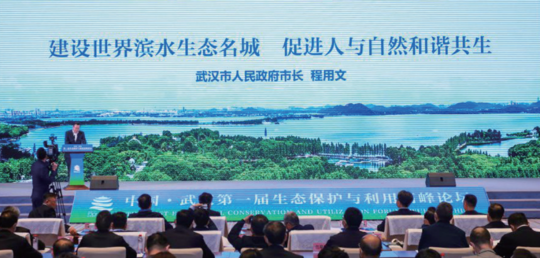 踔厉奋发、笃行不怠——武汉市自然资源和规划局2021年十大亮点
