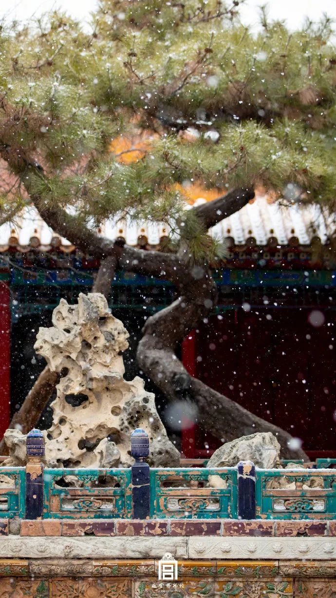 2022年故宫的第一场雪，与君共赏！