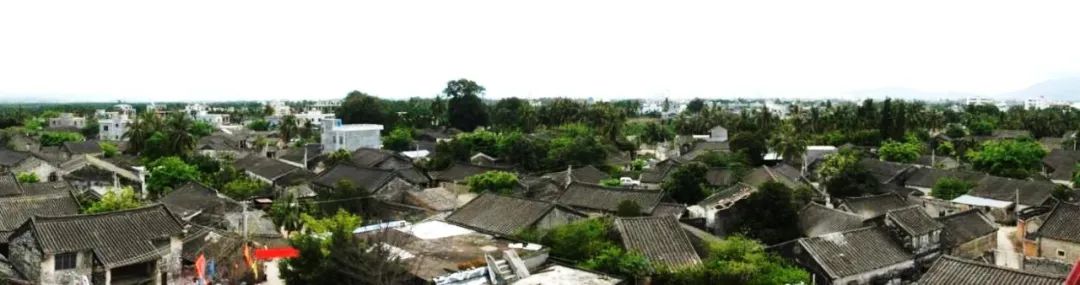 张杰：保护城市风貌要认识地方真实的历史 传承历史风貌要与人的生活相结合
