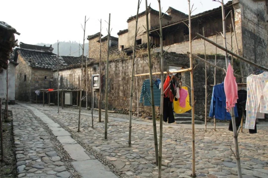 张杰：保护城市风貌要认识地方真实的历史 传承历史风貌要与人的生活相结合