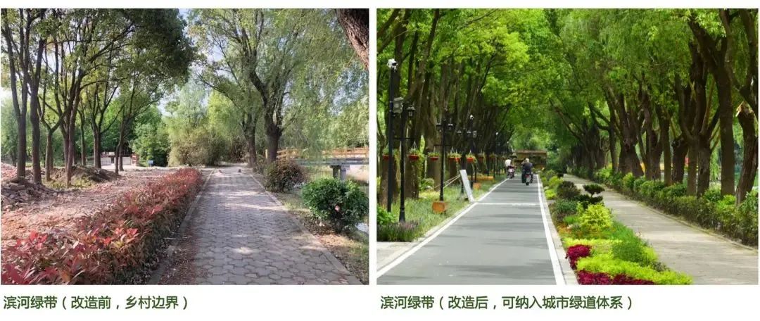 乡村规划师蹲点3个月给上海农村带来了什么 乡村规划师蹲点3个月给上海农村带来了什么