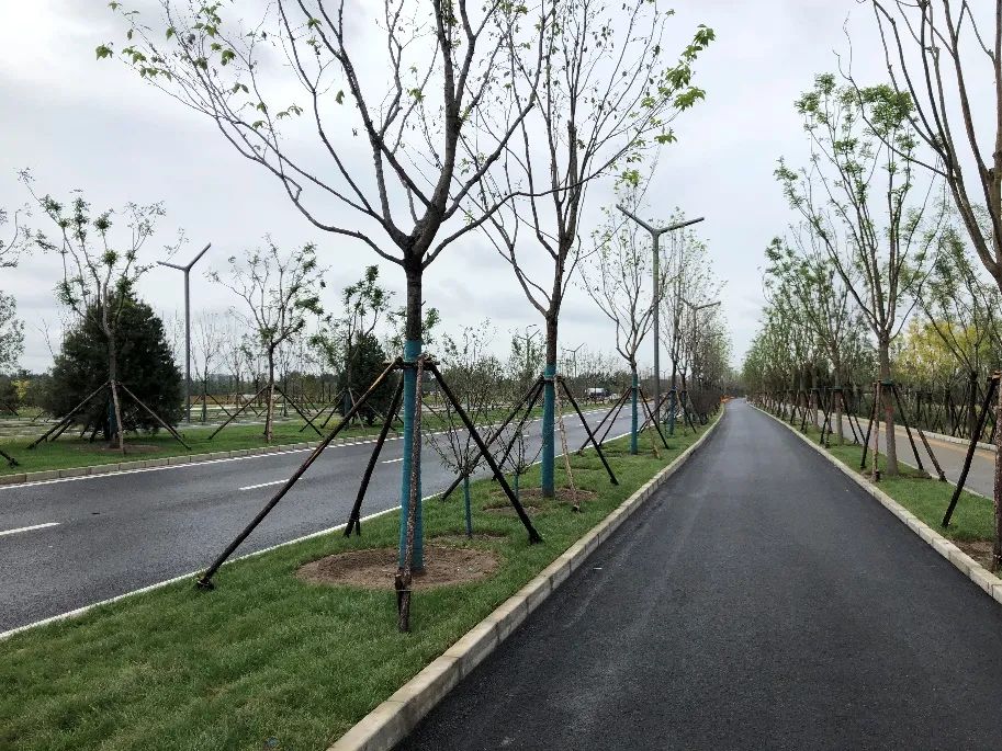 规划解读丨城市绿心基础设施综合规划,打造北京城市副中心示范工程 规划解读丨城市绿心基础设施综合规划,打造北京城市副中心示范工程