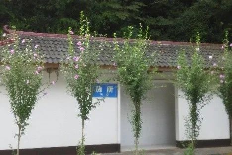 科研创新 | 促进乡村发展建设的政策措施及实施机制 科研创新 | 促进乡村发展建设的政策措施及实施机制