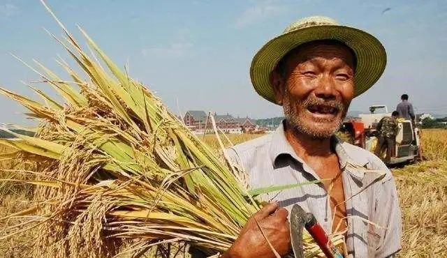 全国人大常委陈锡文：要警惕农村出现两极分化