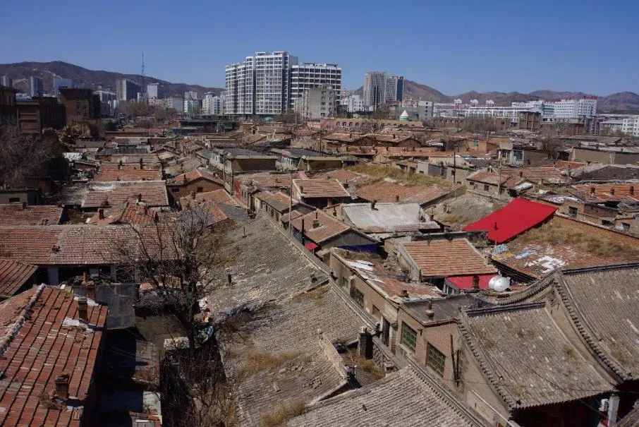张杰：保护城市风貌要认识地方真实的历史 传承历史风貌要与人的生活相结合
