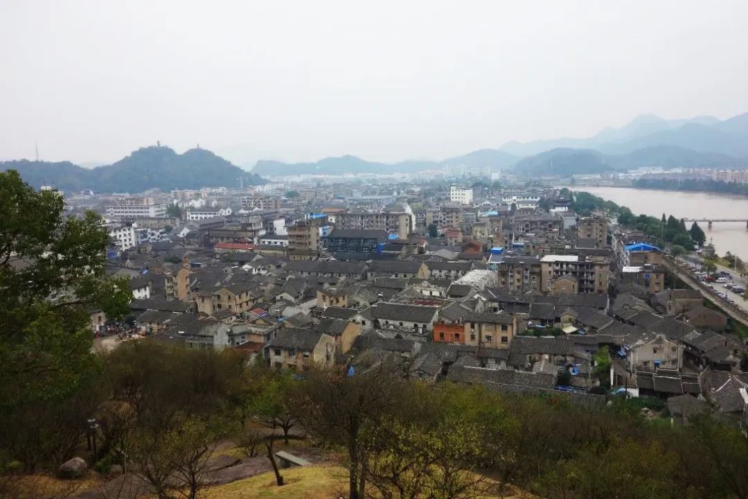 张杰：保护城市风貌要认识地方真实的历史 传承历史风貌要与人的生活相结合