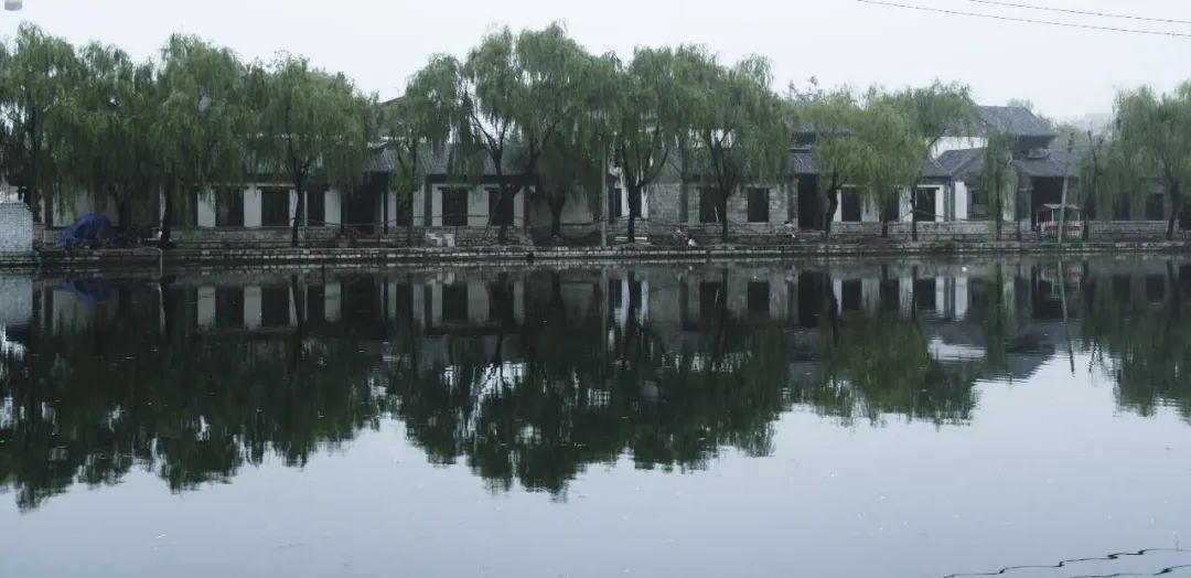 张杰：保护城市风貌要认识地方真实的历史 传承历史风貌要与人的生活相结合
