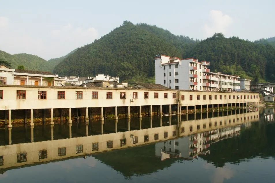 张杰：保护城市风貌要认识地方真实的历史 传承历史风貌要与人的生活相结合