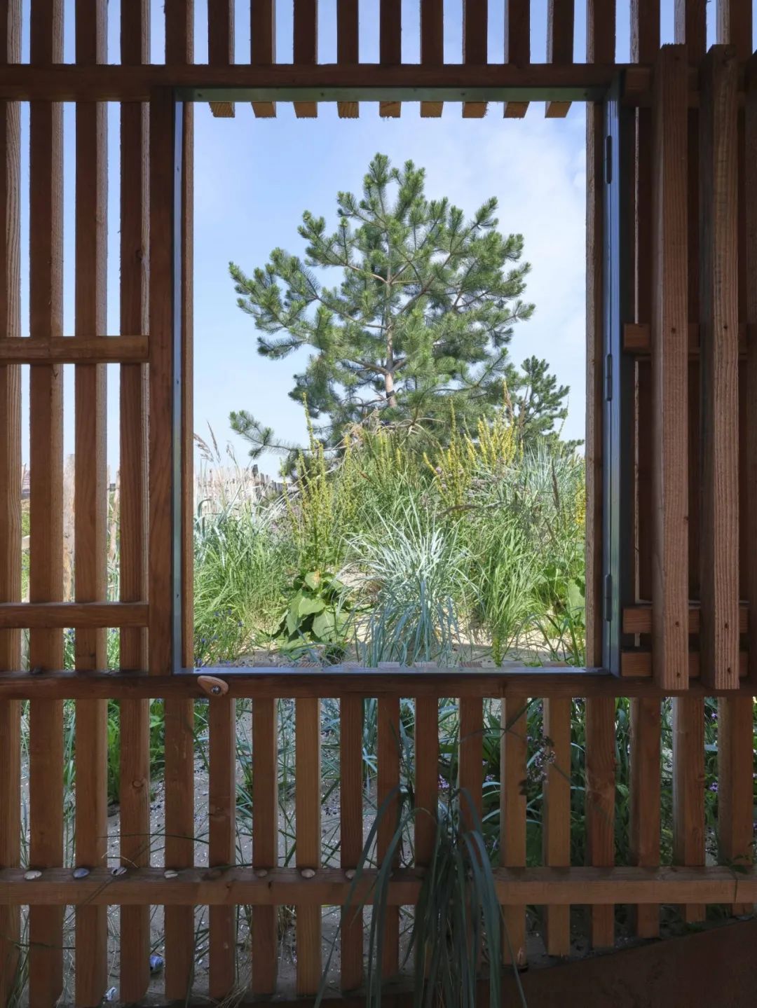 这些建筑“脑壳在发光”,带你看13组屋顶空间创意设计 这些建筑“脑壳在发光”,带你看13组屋顶空间创意设计