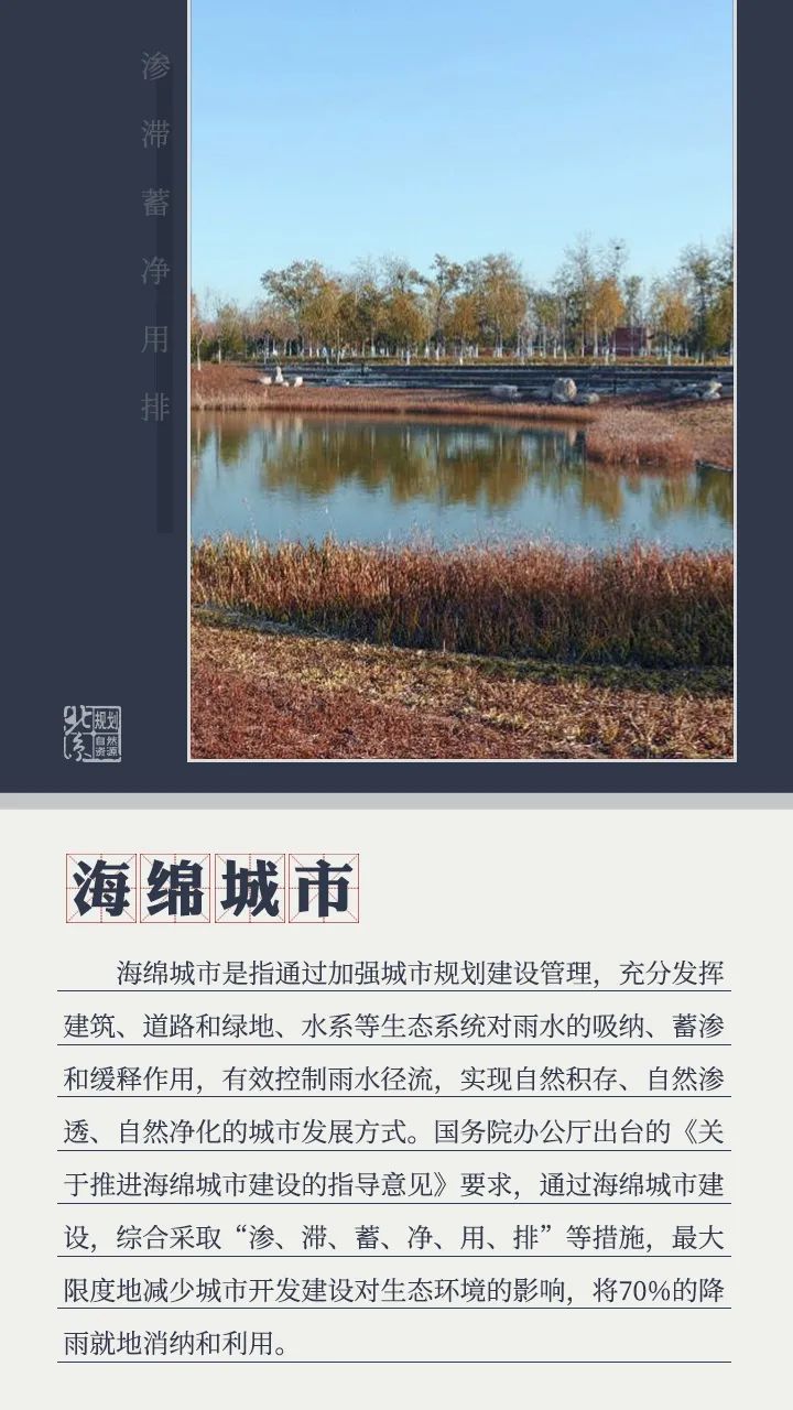 规划科普丨关于城市绿心的二三事 规划科普丨关于城市绿心的二三事