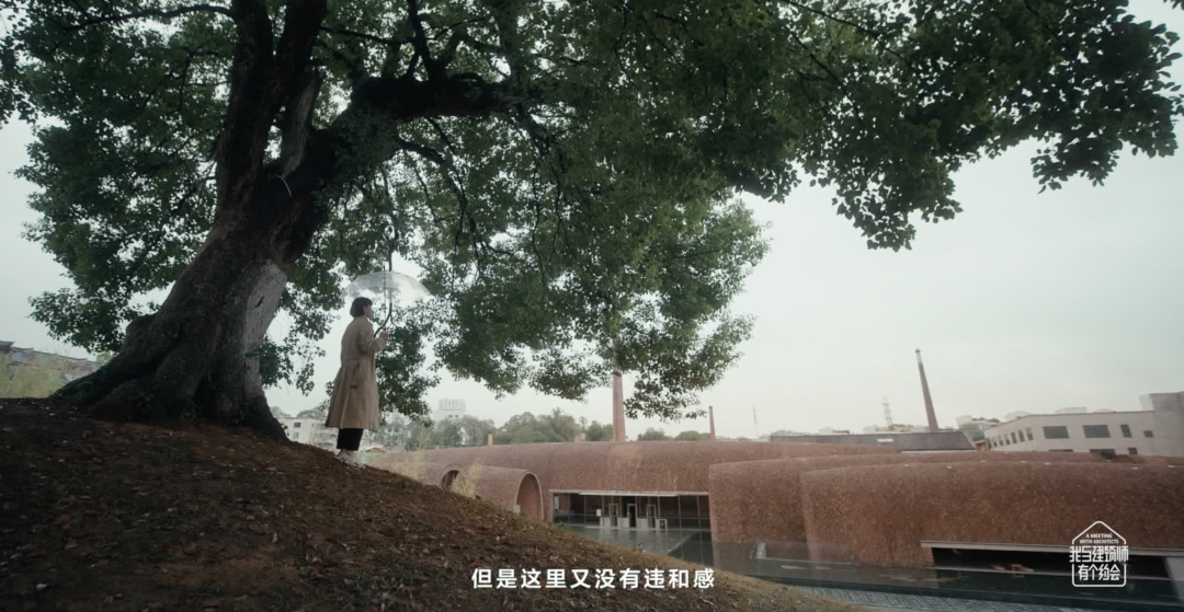 朱锫|自然之燃 朱锫|自然之燃