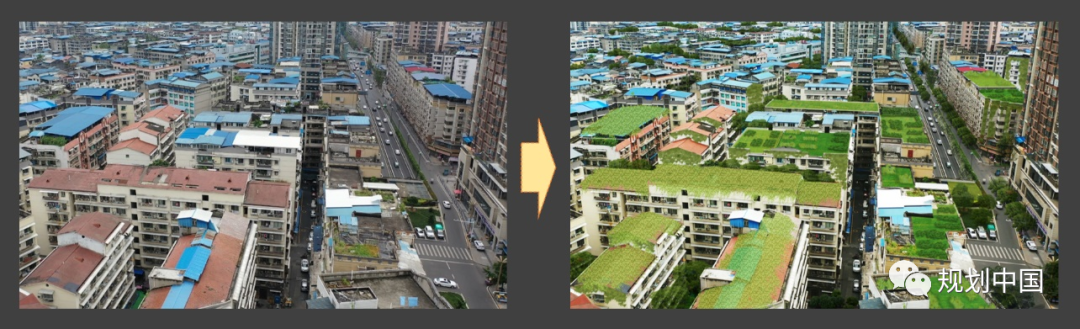 公园城市理念在中小城市的实践探索——以遂宁市公园城市规划为例