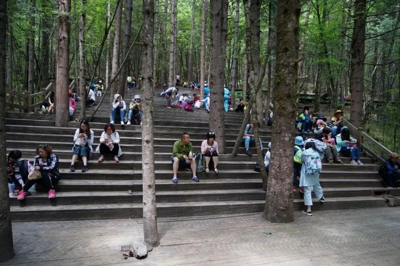 张杰：保护城市风貌要认识地方真实的历史 传承历史风貌要与人的生活相结合