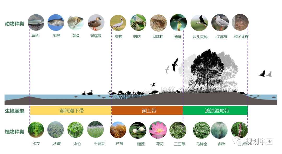 公园城市理念在中小城市的实践探索——以遂宁市公园城市规划为例