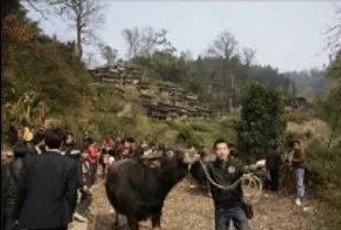 科研创新 | 促进乡村发展建设的政策措施及实施机制 科研创新 | 促进乡村发展建设的政策措施及实施机制