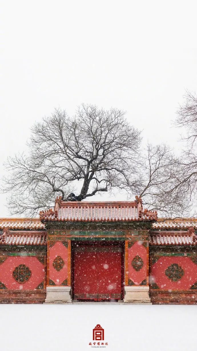 2022年故宫的第一场雪，与君共赏！