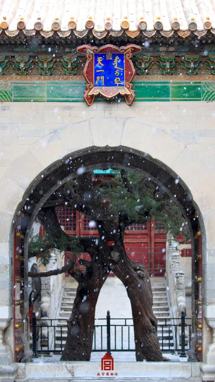 2022年故宫的第一场雪，与君共赏！