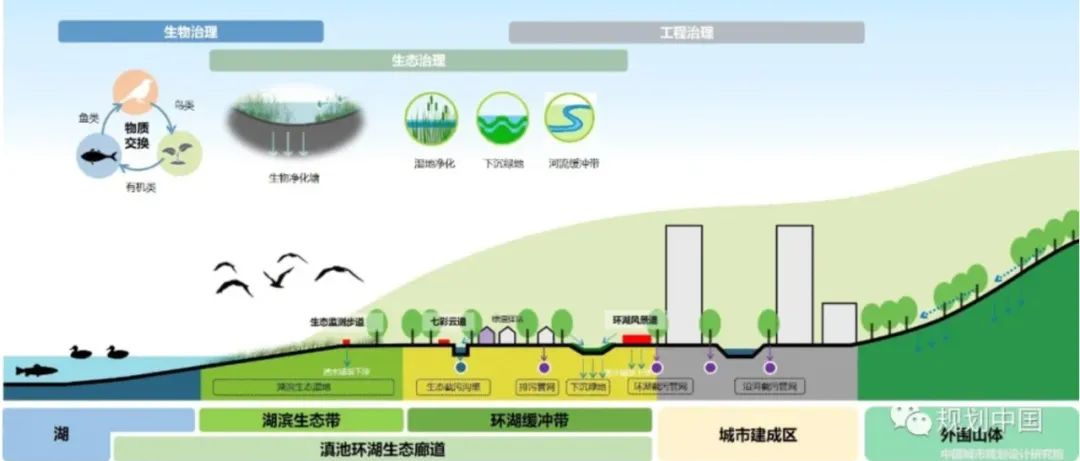 中规作品 | 金顶秋风——金顶山全龄友好公园