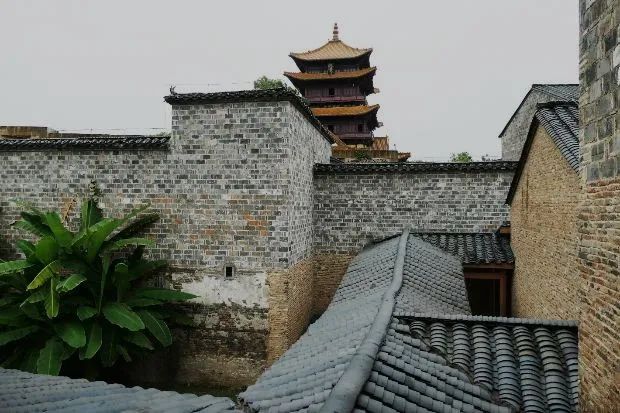 张杰：保护城市风貌要认识地方真实的历史 传承历史风貌要与人的生活相结合