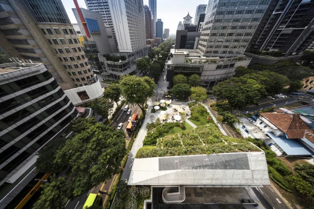 这些建筑“脑壳在发光”,带你看13组屋顶空间创意设计 这些建筑“脑壳在发光”,带你看13组屋顶空间创意设计