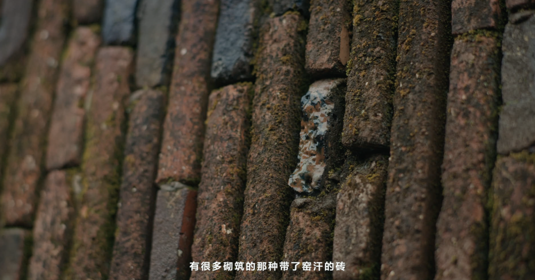 朱锫|自然之燃 朱锫|自然之燃