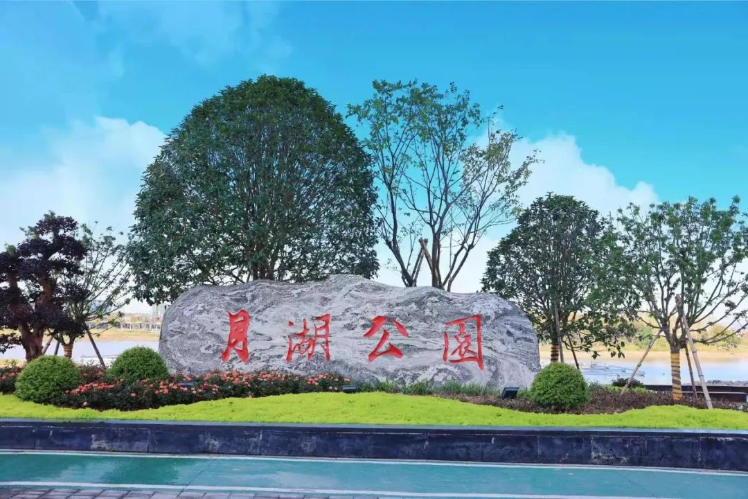 龙港新城,这样崛起! 龙港新城,这样崛起!