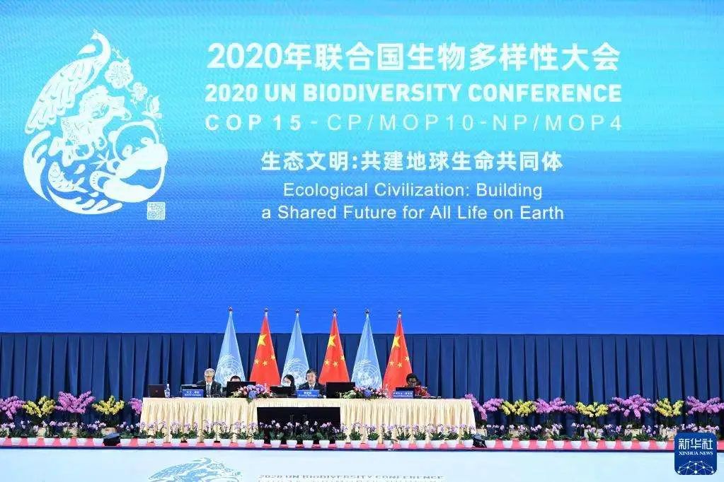 【学术分享】从福州到昆明:金融机构对世界遗产和生物多样性保护的责任和贡献 【学术分享】从福州到昆明:金融机构对世界遗产和生物多样性保护的责任和贡献