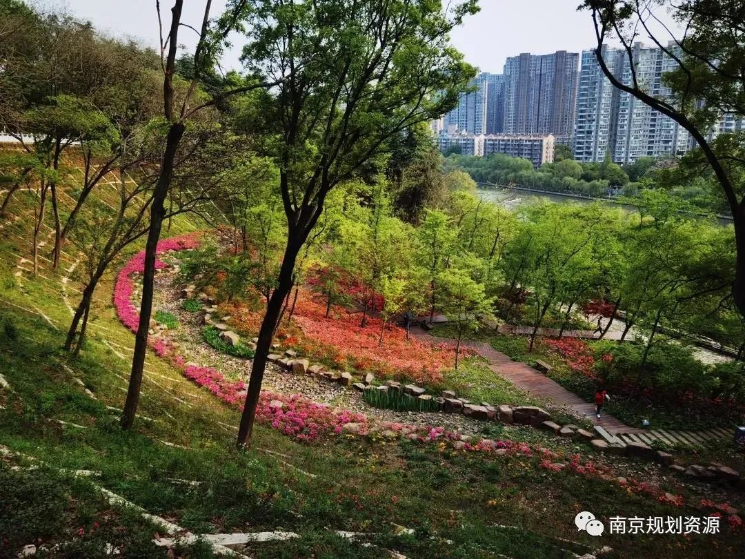 【基层亮点工作巡礼——鼓楼分局】优布局、强管理、促融合,助力高质量发展 【基层亮点工作巡礼——鼓楼分局】优布局、强管理、促融合,助力高质量发展