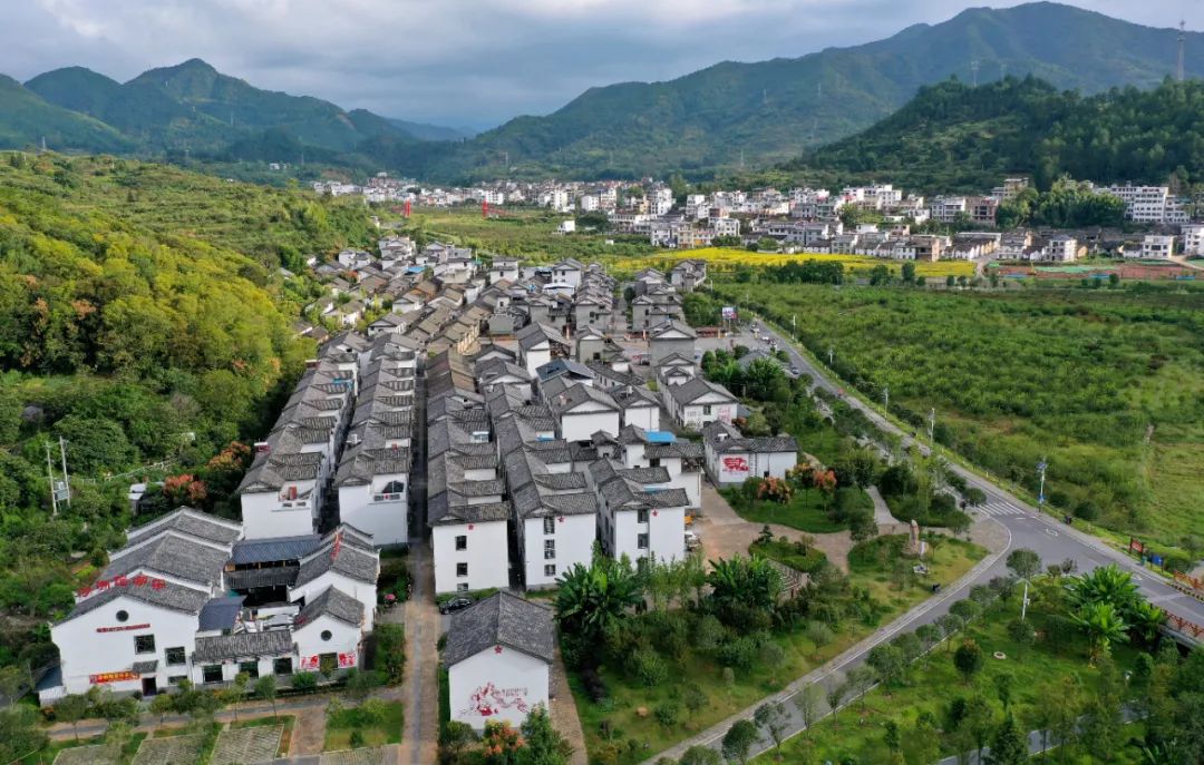 一场献策乡村振兴的头脑风暴 一场献策乡村振兴的头脑风暴