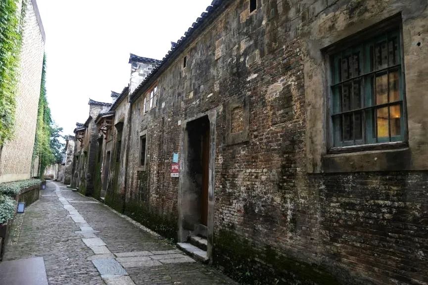 张杰：保护城市风貌要认识地方真实的历史 传承历史风貌要与人的生活相结合