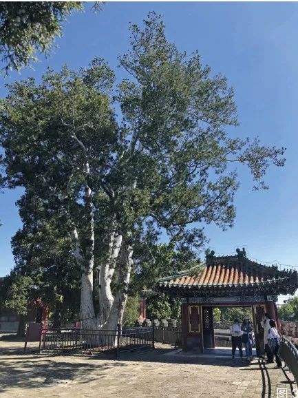 朱光亚 余惟佳 | 中国传统园林遗产保护的理念初探