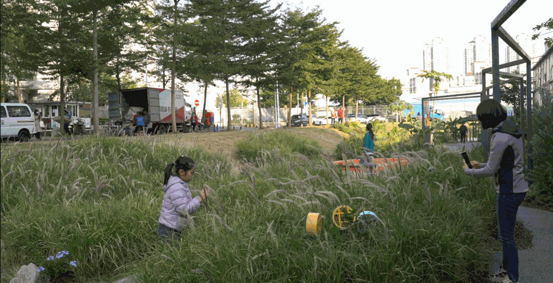 景观实践｜笋岗火车花园，家门口畅想自然的活力场域
