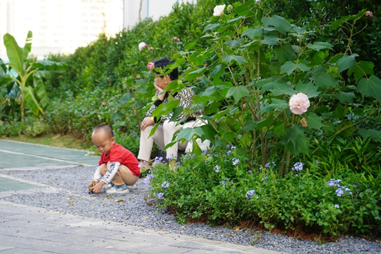 景观实践｜笋岗火车花园，家门口畅想自然的活力场域