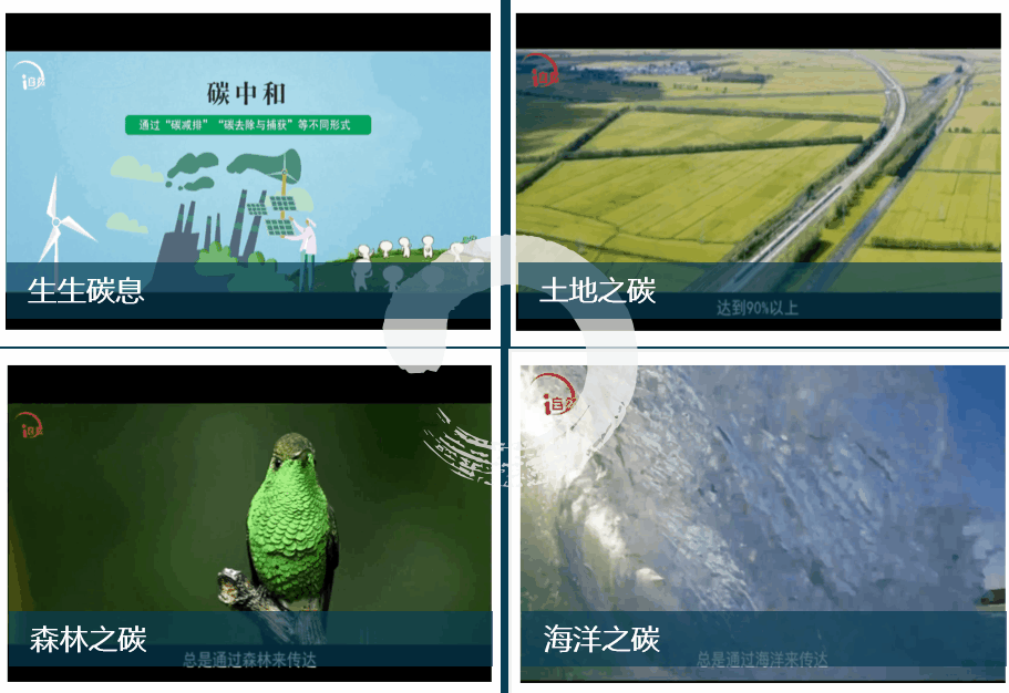 这篇推送，我们耗时整两年！