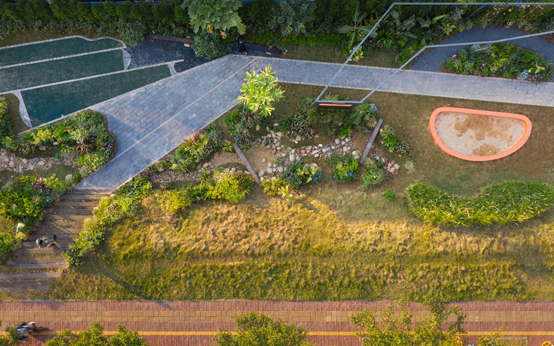 景观实践｜笋岗火车花园，家门口畅想自然的活力场域