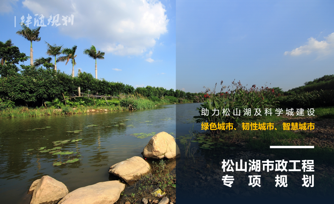 规划服务中国：共创高质量城市未来