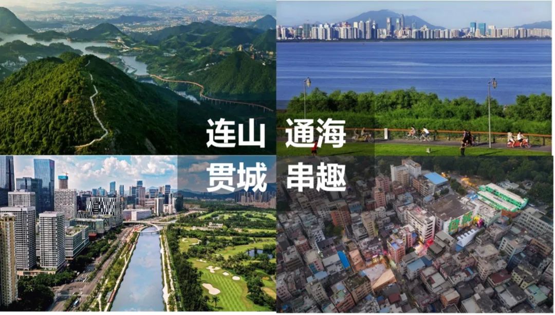 《深圳“山海连城计划”城市设计》荣获“金牛奖” 《深圳“山海连城计划”城市设计》荣获“金牛奖”